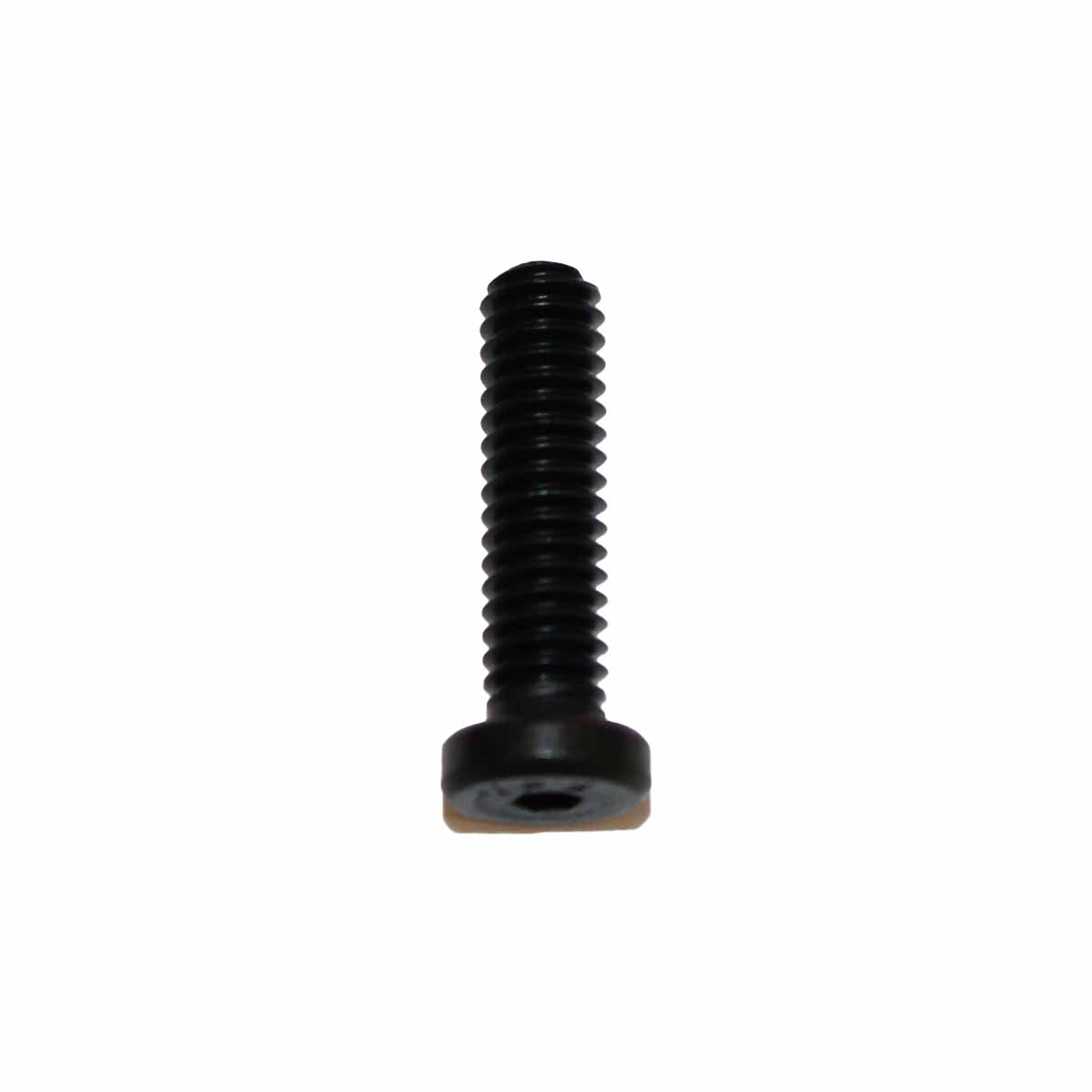 8 - 32 Low Head Screw