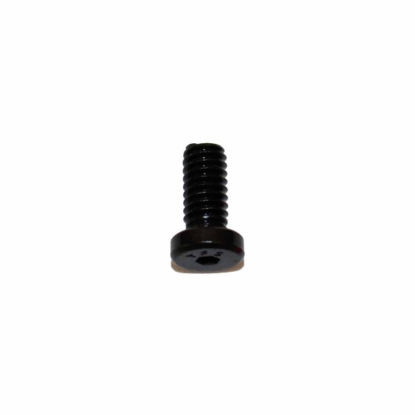 3/8 Inch Low Head Screw